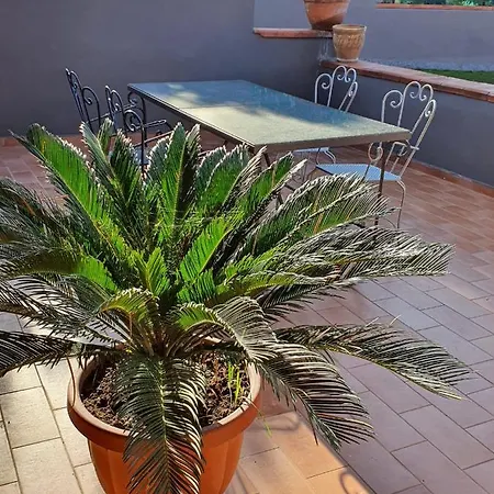 Neapolis Bed & Breakfast 4*
